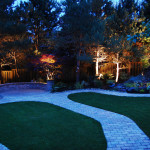 The Garden at Night