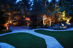 The Garden at Night