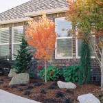 Low Maintenance Landscapes