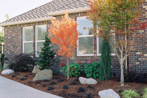 Low Maintenance Landscapes