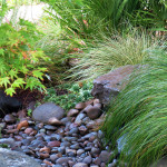 Dry Creek Beds