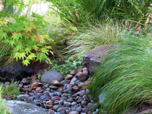 Dry Creek Beds