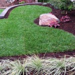 Tall Fescue Lawn