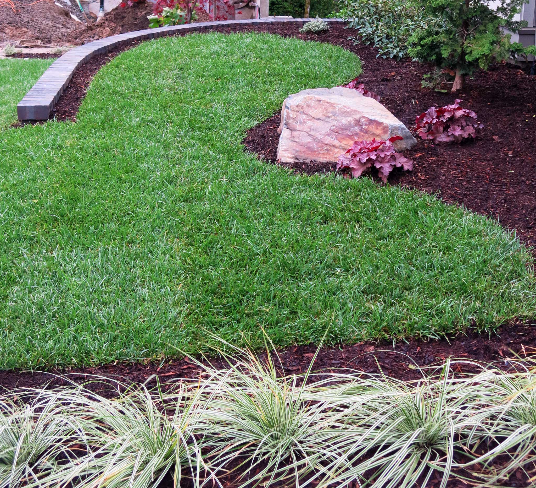 Tall Fescue Lawn John Darby Landscape Inc