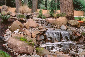 Natural Water Features