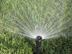 Irrigation